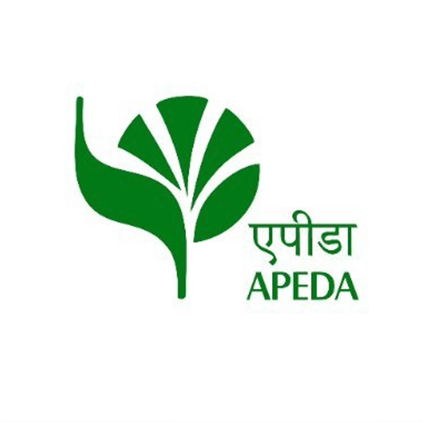 apeda logo
