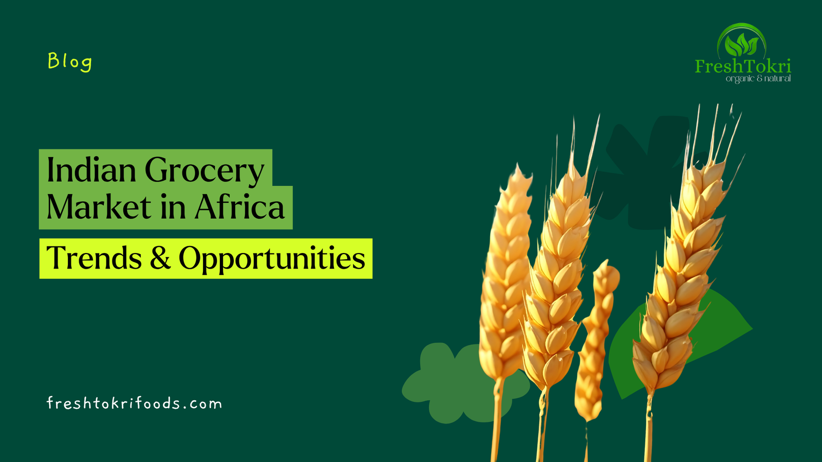 Indian Products in Africa