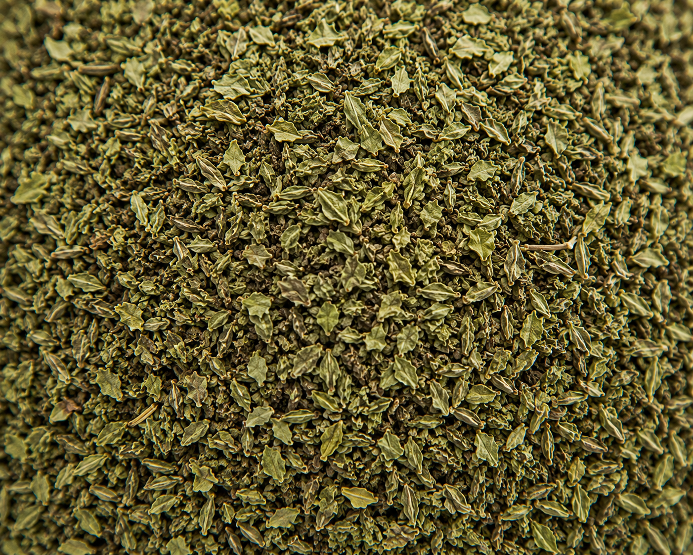 Basil Premium Crushed Dried Basil Leaves for Bulk Export